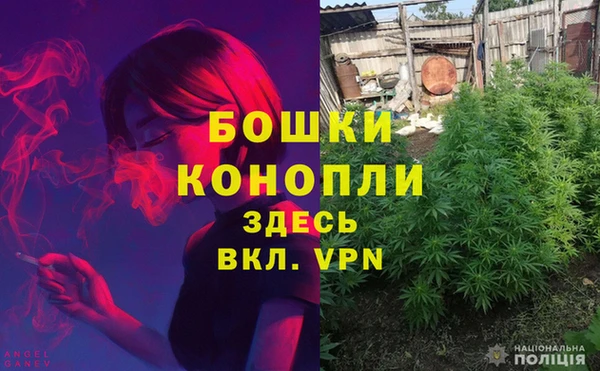 jwh Богородицк